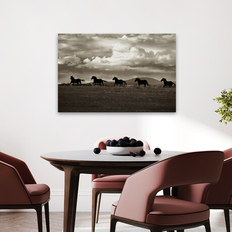 Racing the Clouds by Lisa Dearing (16"H x 24"W x 1.5"D)