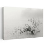 Zen Lake by Nicholas Bell (16"H x 24"W x 1.5"D)