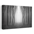 Dark Woods by PhotoINC Studio (16"H x 24"W x 1.5"D)