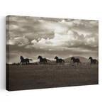 Racing the Clouds by Lisa Dearing (16"H x 24"W x 1.5"D)