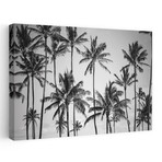 Palm Heaven by Design Fabrikken (16"H x 24"W x 1.5"D)