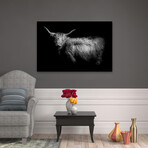 Hello by PhotoINC Studio (16"H x 24"W x 1.5"D)