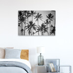 Palm Heaven by Design Fabrikken (16"H x 24"W x 1.5"D)
