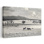 Ranchland 9 a by Murray Bolesta (16"H x 24"W x 1.5"D)