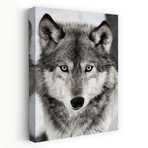 Stare Down by Lisa Dearing (16"H x 24"W x 1.5"D)