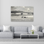 Ranchland 9 a by Murray Bolesta (16"H x 24"W x 1.5"D)