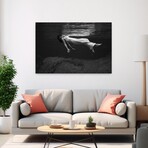 Weeki Wachee Spring, Florida (1947) by Toni Frissell (16"H x 24"W x 1.5"D)