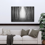 Dark Woods by PhotoINC Studio (16"H x 24"W x 1.5"D)