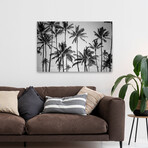 Palm Heaven by Design Fabrikken (16"H x 24"W x 1.5"D)