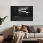 Weeki Wachee Spring, Florida (1947) by Toni Frissell (16"H x 24"W x 1.5"D)