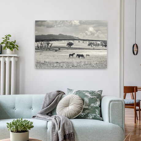 Ranchland 9 a by Murray Bolesta (16"H x 24"W x 1.5"D)