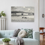 Ranchland 9 a by Murray Bolesta (16"H x 24"W x 1.5"D)