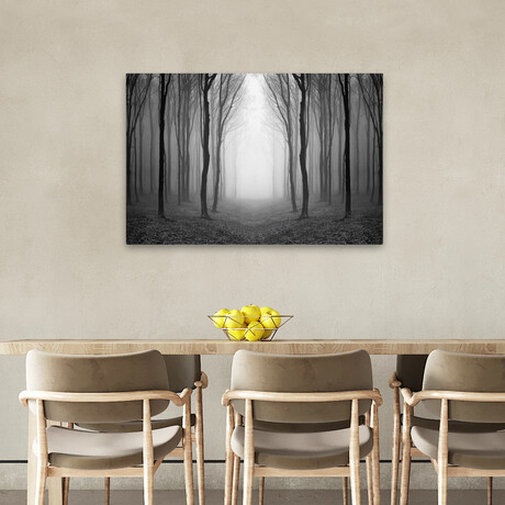 Dark Woods by PhotoINC Studio (16"H x 24"W x 1.5"D)