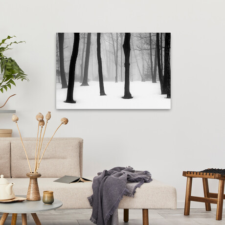 Winter Fog by Kelly Sinclair (16"H x 24"W x 1.5"D)