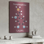 Norepinephrine Molecule 2 by Luxe Metal (16"H x 12"W x 0.13"D)