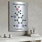 Norepinephrine Molecule by Luxe Metal (16"H x 12"W x 0.13"D)