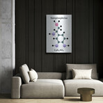 Norepinephrine Molecule by Luxe Metal (16"H x 12"W x 0.13"D)