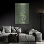 Cannabis Molecule by Luxe Metal (16"H x 12"W x 0.13"D)