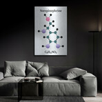 Norepinephrine Molecule by Luxe Metal (16"H x 12"W x 0.13"D)