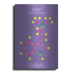 Dmt Molecule by Luxe Metal (16"H x 12"W x 0.13"D)