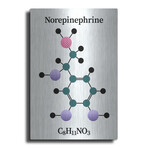 Norepinephrine Molecule by Luxe Metal (16"H x 12"W x 0.13"D)
