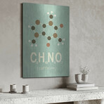 Molecule Caffeine by Typelike (16"H x 12"W x 0.13"D)