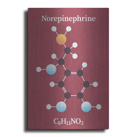 Norepinephrine Molecule 2 by Luxe Metal (16"H x 12"W x 0.13"D)