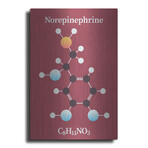 Norepinephrine Molecule 2 by Luxe Metal (16"H x 12"W x 0.13"D)