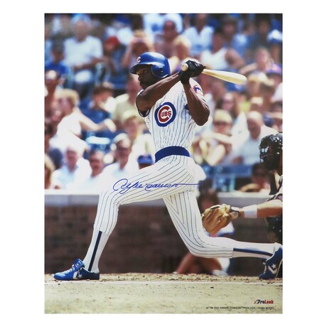 Andre Dawson // Chicago Cubs // Signed Batting Action Photo