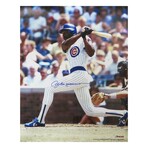 Andre Dawson // Chicago Cubs // Signed Batting Action Photo