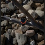 Skywatch Swiss-Made Diver's 44mm Chronograph Quartz // CCI018-2F