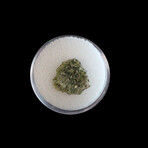 Genuine Trinitite in Display Box