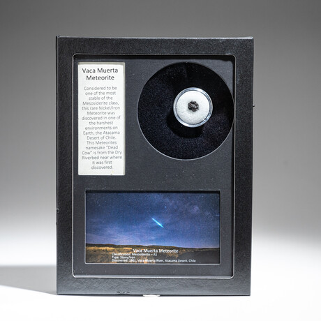 Genuine Vaca Muerta Meteorite in Glass Display Box