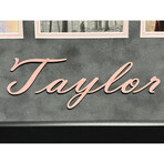 Taylor Swift Autographed 12 CD Studio Albums - Framed #D/100 // TV Version