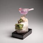 Genuine Polished Hand Carved Fluorite Finch on a Green Tourmaline in Quartz Matrix // 543.1 g