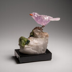 Genuine Polished Hand Carved Fluorite Finch on a Green Tourmaline in Quartz Matrix // 543.1 g