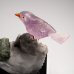 Genuine Polished Hand Carved Fluorite Finch on a Green Tourmaline in Quartz Matrix // 543.1 g