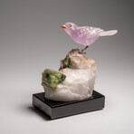 Genuine Polished Hand Carved Fluorite Finch on a Green Tourmaline in Quartz Matrix // 543.1 g