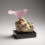Genuine Polished Hand Carved Fluorite Finch on a Green Tourmaline in Quartz Matrix // 543.1 g