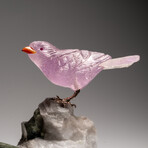 Genuine Polished Hand Carved Fluorite Finch on a Green Tourmaline in Quartz Matrix // 543.1 g