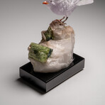 Genuine Polished Hand Carved Fluorite Finch on a Green Tourmaline in Quartz Matrix // 543.1 g