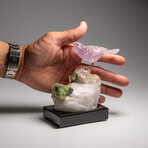Genuine Polished Hand Carved Fluorite Finch on a Green Tourmaline in Quartz Matrix // 543.1 g