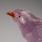 Genuine Polished Hand Carved Fluorite Finch on a Green Tourmaline in Quartz Matrix // 543.1 g