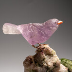 Genuine Polished Hand Carved Fluorite Finch on a Green Tourmaline in Quartz Matrix // 543.1 g
