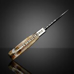 Hand-Forged Damascus Folding Knife // Natural Ram Horn