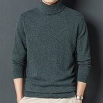 Turtleneck Solid Sweater // Green (XS)