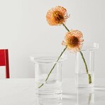 Limelight Vase // Clear (Tall)