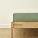 6abd1f51cc2e4a32a28dcf75fd78573c small