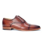 Birch Pointed Toe Oxfords // Chestnut (US: 10)