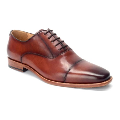 Birch Pointed Toe Oxfords // Chestnut (US: 8)